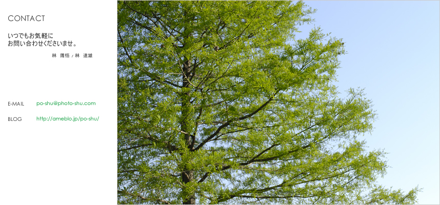 Photo office周　お問い合わせ